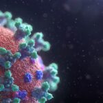Ebola-Ausbruch im Kongo: Fast 1.000 Tote – Auswirkungen auf Märkte