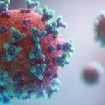 Corona-Debatte um Ursprung: Fauci im Fokus